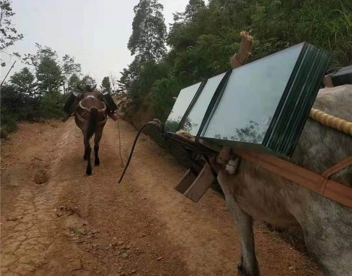 桑植县马帮运输工程队